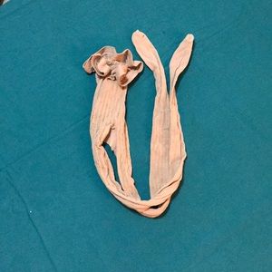 Tan Fishnet stockings